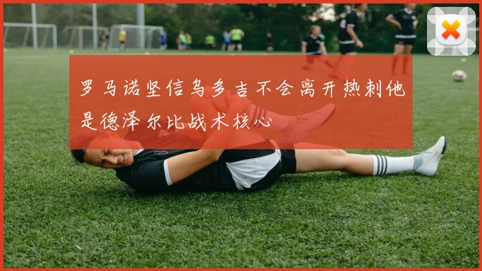 罗马诺坚信乌多吉不会离开热刺他是德泽尔比战术核心